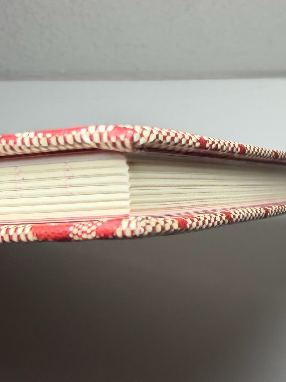 Gucci Beige Canvas with Red GG Monogram Notebook - Picture 6 of 15